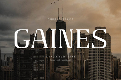 Gaines Typeface Font Storytype Studio 