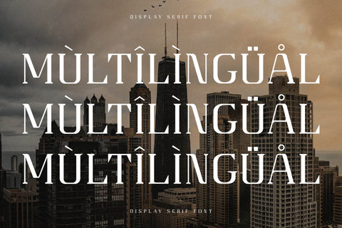 Gaines Typeface Font Storytype Studio 