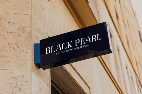 Gaines Typeface Font Storytype Studio 