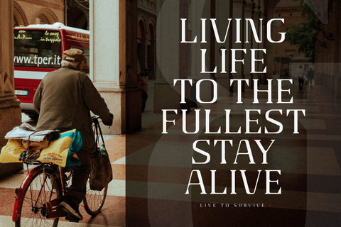 Gaines Typeface Font Storytype Studio 