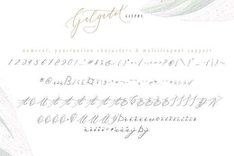 GALGADOT Font Letterara 