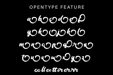 Gandhi Beauty Script Font Skiiller_Std 