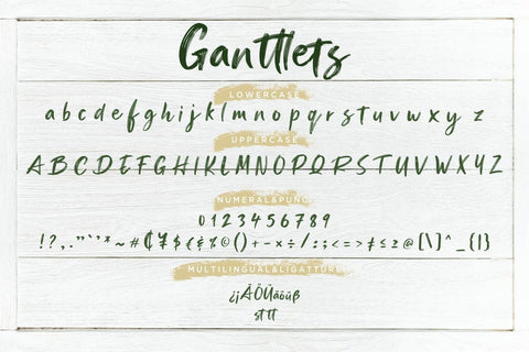 Ganttlets Brush Script Font Creatype Studio 