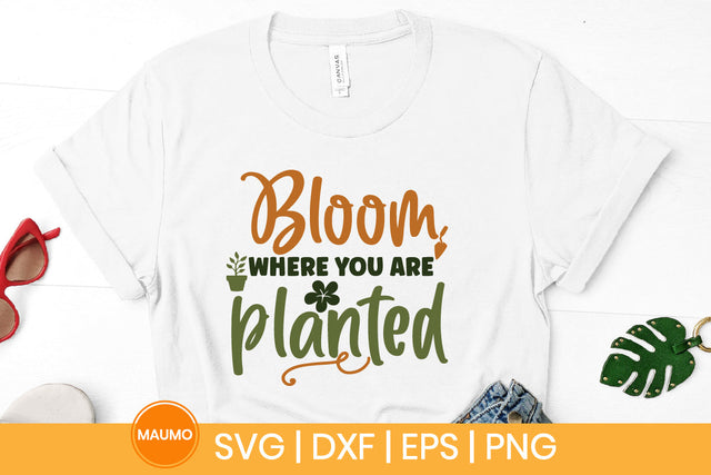 Garden svg quote, bloom where you are planted SVG Maumo Designs 