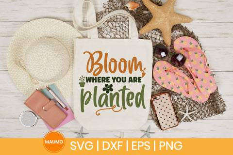 Garden svg quote, bloom where you are planted SVG Maumo Designs 
