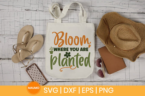 Garden svg quote, bloom where you are planted SVG Maumo Designs 