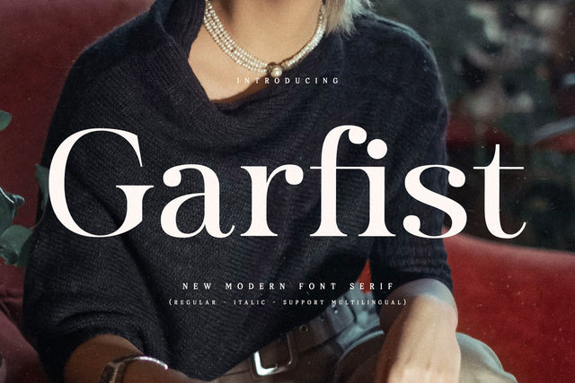 Garfist Typeface Font Storytype Studio 