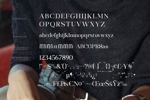 Garfist Typeface Font Storytype Studio 