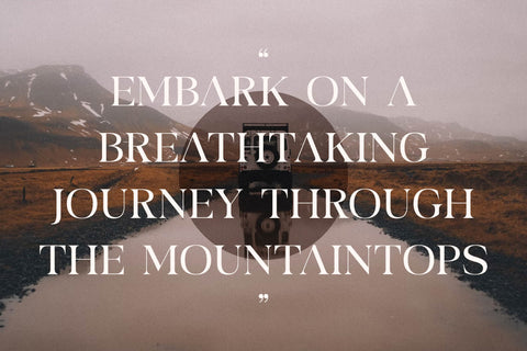 Garfist Typeface Font Storytype Studio 