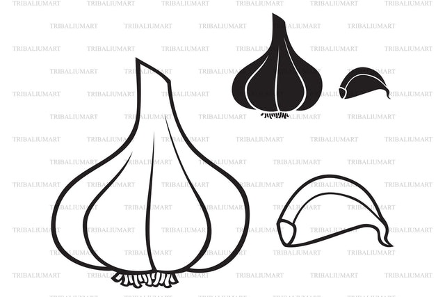 Garlic bulb SVG TribaliumArtSF 