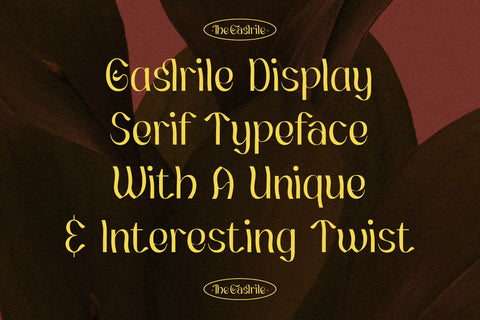 Gaslrile Typeface Font Storytype Studio 