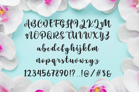 Gatcha Font Madatype Studio 