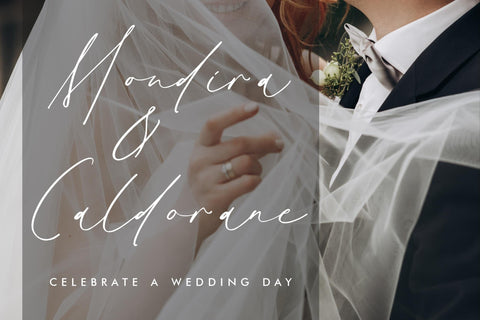 Gatenfield Mondilla - Modern Signature Font Font Storytype Studio 