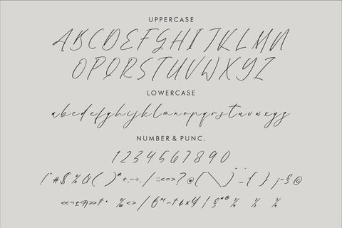 Gatenfield Mondilla - Modern Signature Font Font Storytype Studio 