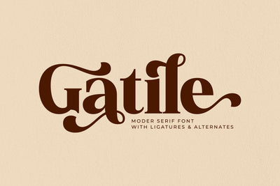 Gatile Typeface Font Storytype Studio 