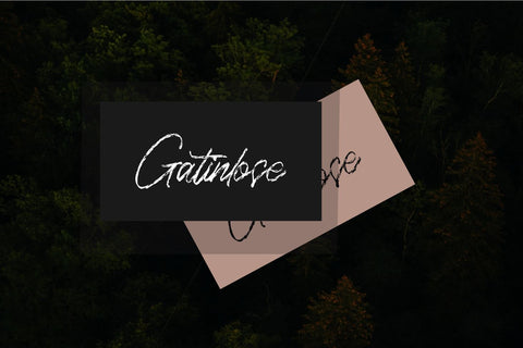 Gatinlose Font Zeenesia Std 