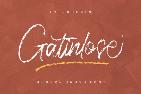 Gatinlose Font Zeenesia Std 