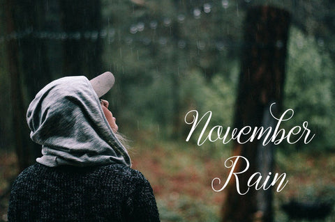 Gebrina Script Font Megatype 