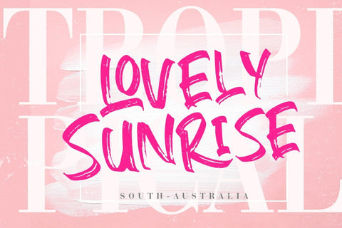 Gebrush Handbrush Stylish Font Creatype Studio 