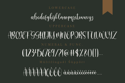 Geminy Calligraphy Font Font Balevgraph Studio 