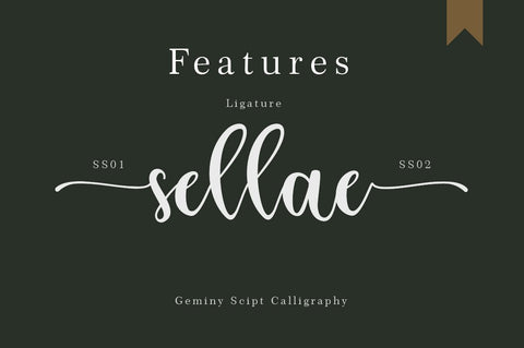 Geminy Calligraphy Font Font Balevgraph Studio 