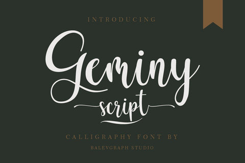 Geminy Calligraphy Font Font Balevgraph Studio 