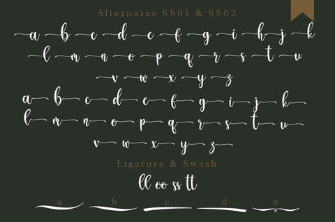 Geminy Calligraphy Font Font Balevgraph Studio 