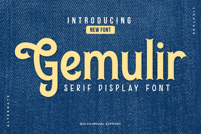 Gemulir - Serif Classic Font Font twinletter 