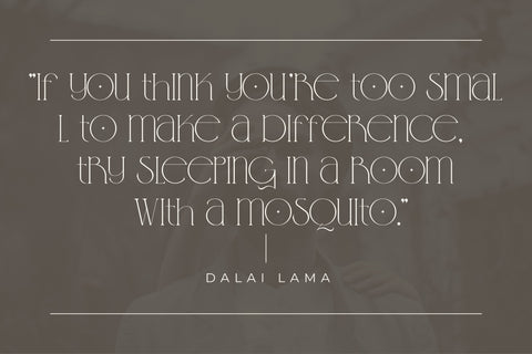 GENTO DREAM Typeface Font Storytype Studio 