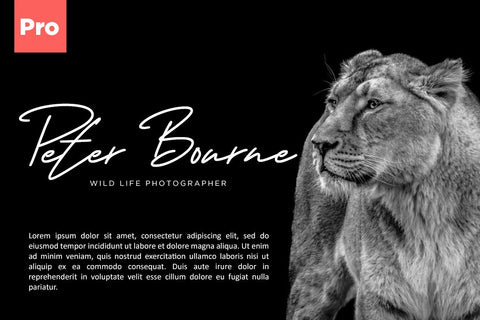 George Signature Classy Font Font Creatype Studio 