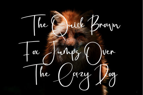 Georges Font letterbeary 