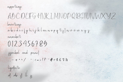 Geovanice - Casual Signature Font Font StringLabs 