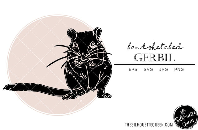 Gerbil Sketch Vector SVG Loveleen Kaur 