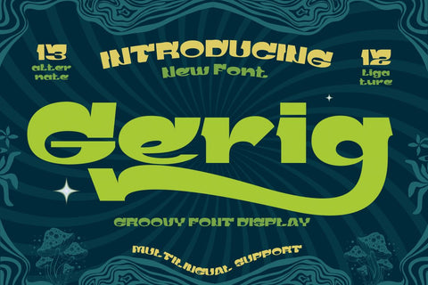 Gerig | Groovy Retro Font Font twinletter 