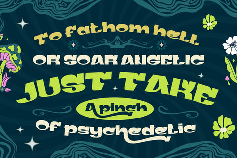 Gerig | Groovy Retro Font Font twinletter 