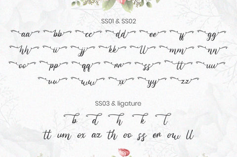 Geshana - Script Font Font Attype studio 