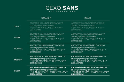 Gexo Sans - Elegant font Font Javapep 