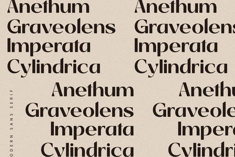 Giahfita Typeface Font Storytype Studio 
