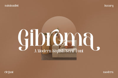 Gibroma Typeface Font Storytype Studio 