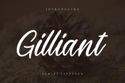 Gilliant Script Typeface Font Creatype Studio 