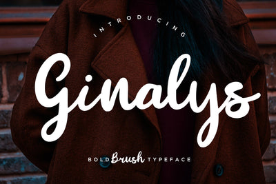 Ginalys Bold Brush Font Creatype Studio 