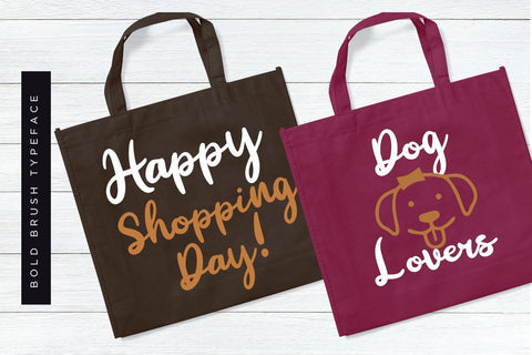 Ginalys Bold Brush Font Creatype Studio 