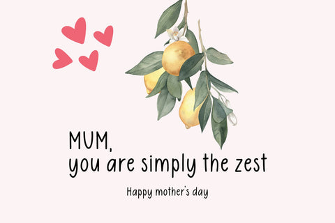 Gingerbread Font Cotton White Studio 