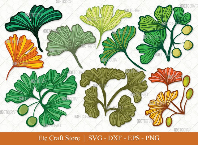 Ginkgo Leaves Clipart SVG Cut File | Ginkgo Leaf Svg | Ginko Biloba Svg | Plants Svg | Ginkgo Leaves Bundle | Autumn Leaf SVG | Eps | Dxf | Png | SVG ETC Craft 