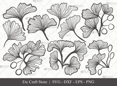 Ginkgo Leaves Outline SVG Cut File | Ginkgo Leaf Svg | Ginko Biloba Svg | Plants Svg | Ginkgo Leaves Bundle | Autumn Leaf SVG | Eps | Dxf | Png | SVG ETC Craft 