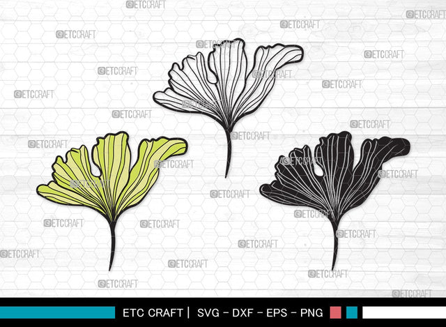 Ginkgo Leaves SVG | Ginkgo Leaf Svg | Ginko Biloba Svg | Plants Svg | Autumn Leaf SVG | Ginkgo Leaves Clipart SVG ETC Craft 