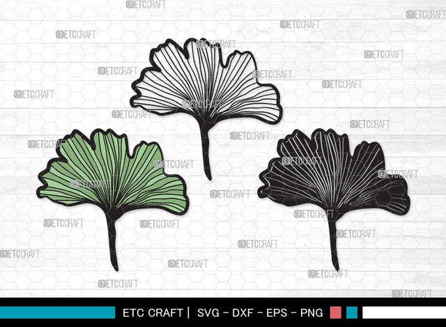 Ginkgo Leaves SVG | Ginkgo Leaf Svg | Ginko Biloba Svg | Plants Svg | Autumn Leaf SVG | Ginkgo Leaves Clipart SVG ETC Craft 