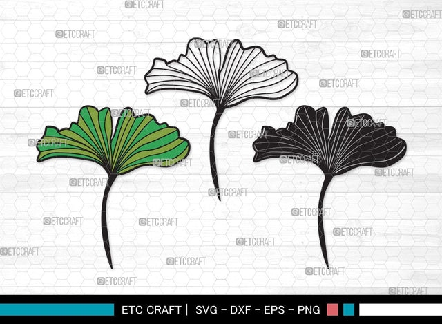 Ginkgo Leaves SVG | Ginkgo Leaf Svg | Ginko Biloba Svg | Plants Svg | Autumn Leaf SVG | Ginkgo Leaves Clipart SVG ETC Craft 