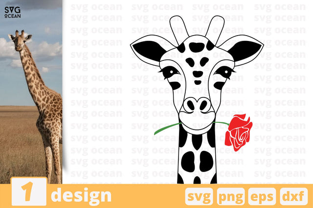 Giraffe quote cricut svg SVG SvgOcean 