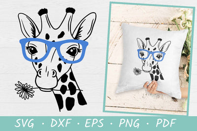 Giraffe with daisy and glasses SVG | Giraffe SVG SVG Irina Ostapenko 
